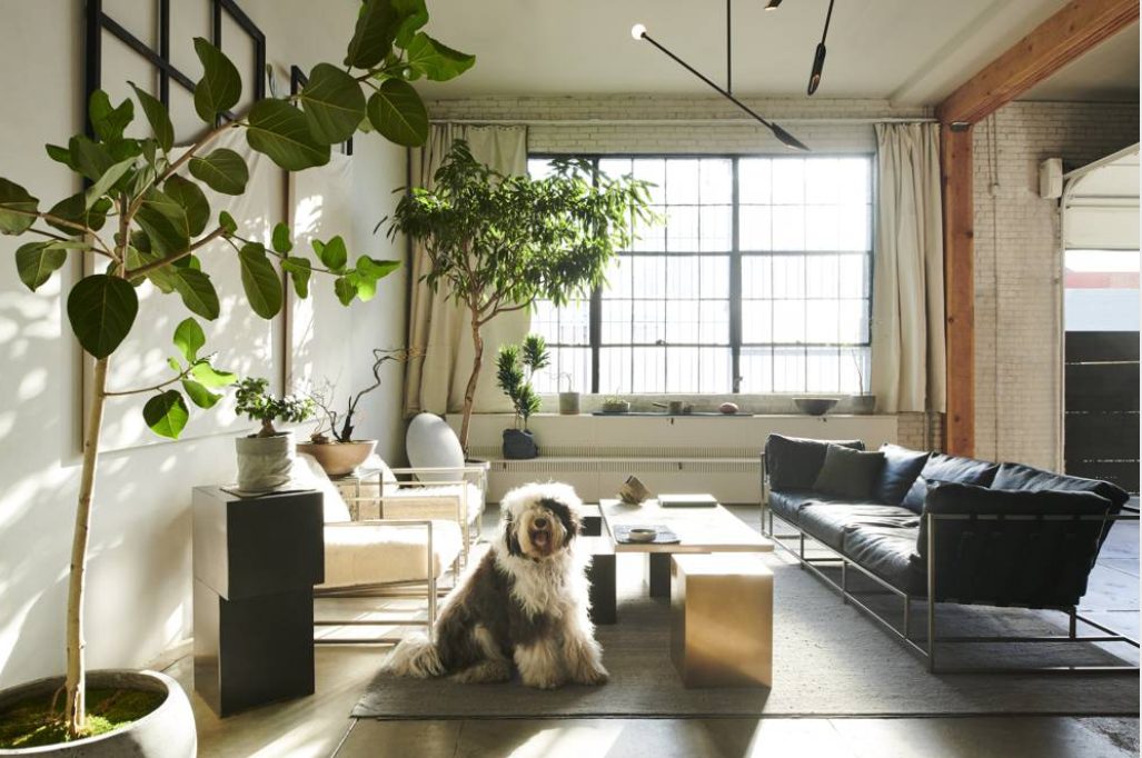 Screenshot 2026-01-07 135251